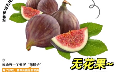 眼球移位的症状网 | 眼球移位怎么治疗,眼球移位手术有风险吗
